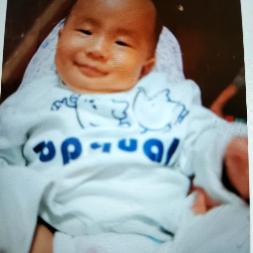 金元宝的宝
