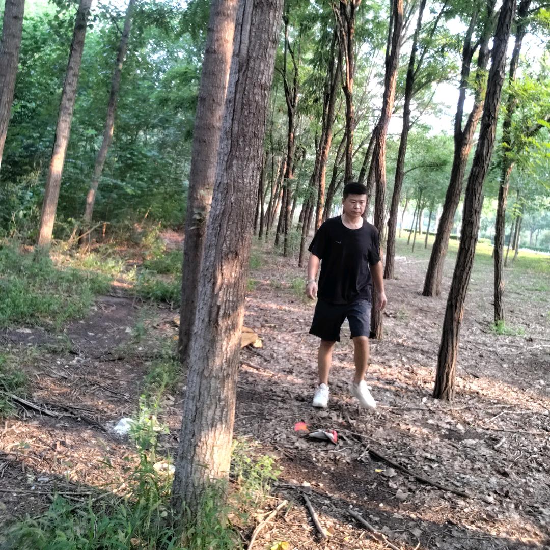 锦年