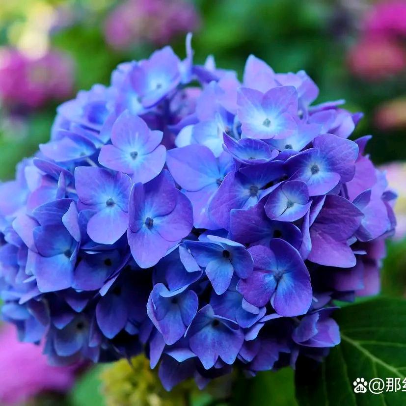 小宝贝