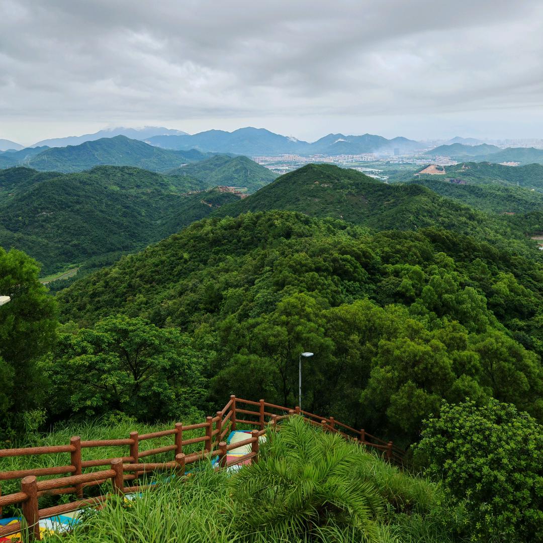 珠海菜就莱（珠海开哥）