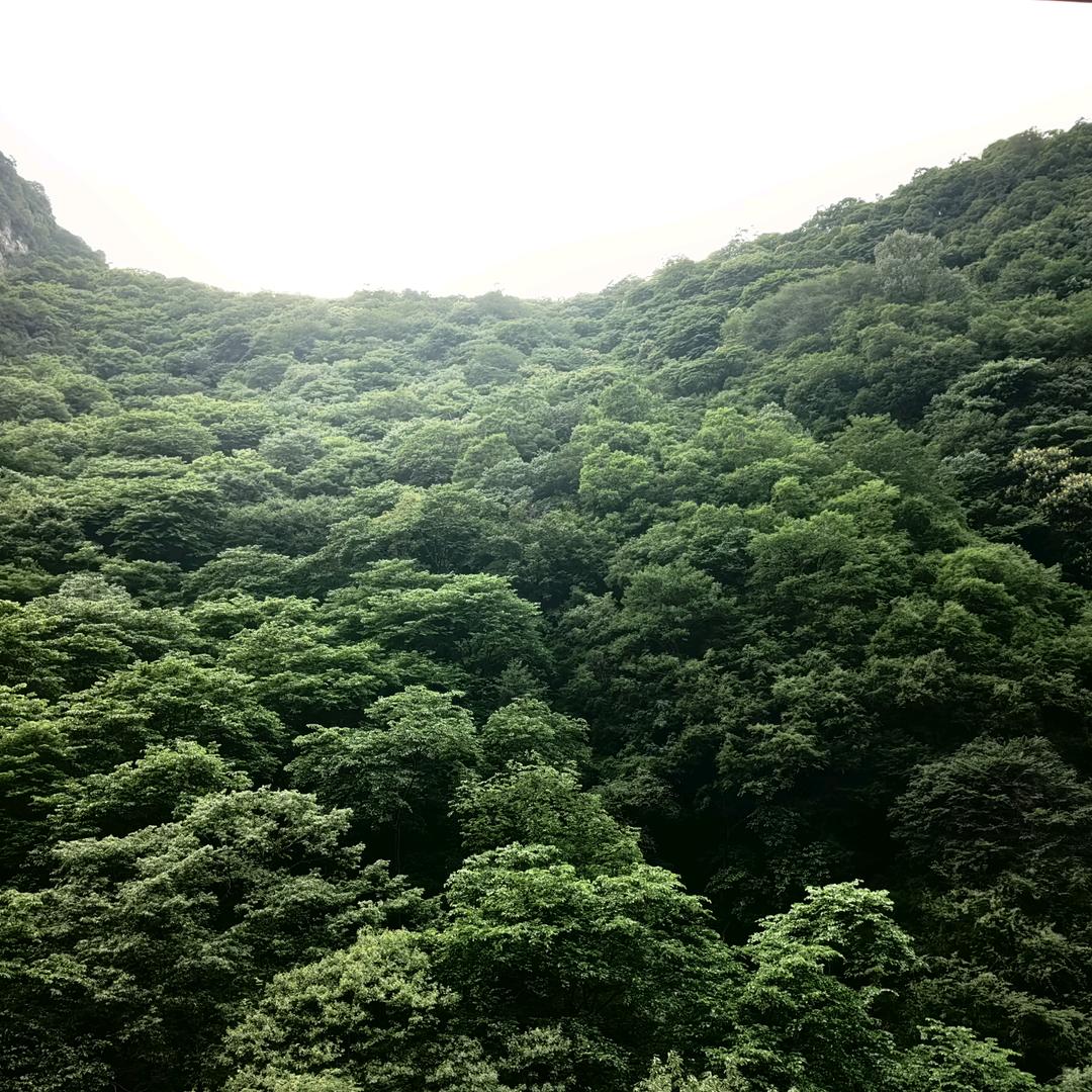 一王🍒情深@看💅💅