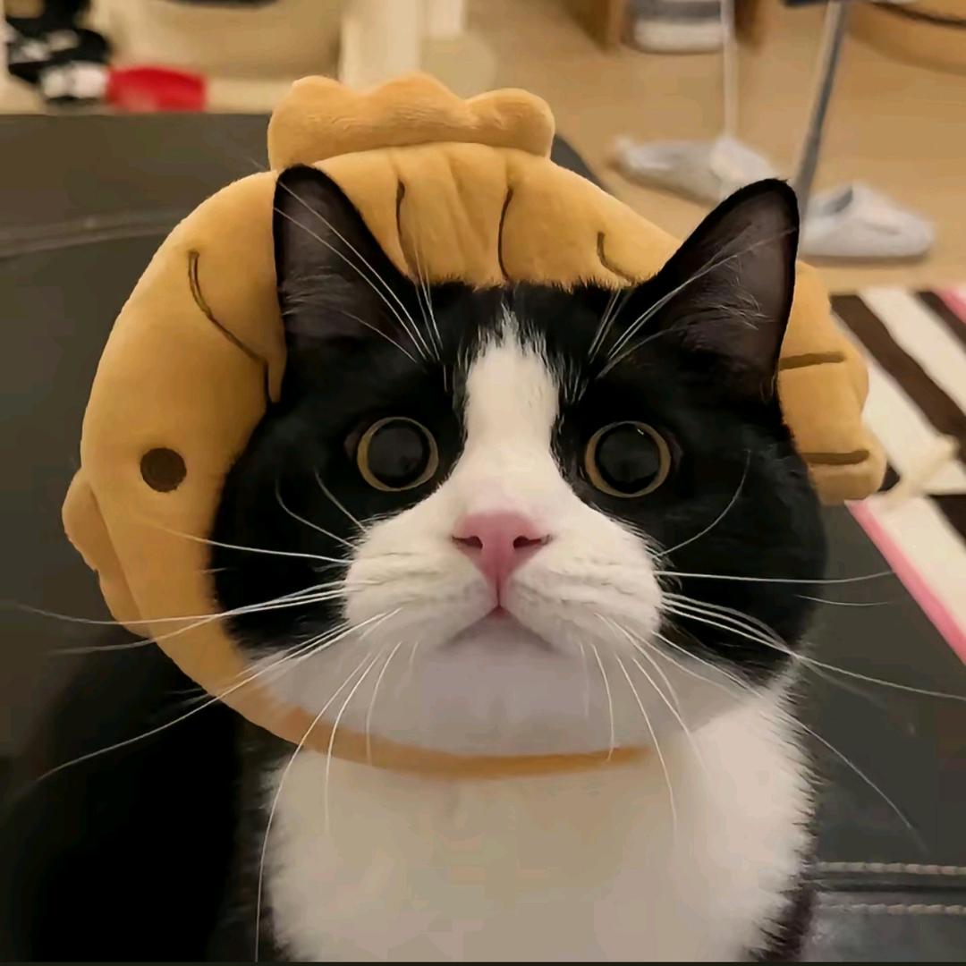 小七吖