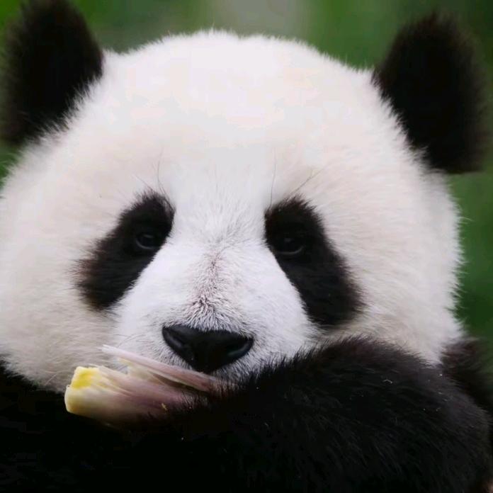 半城烟火 半城殇℡