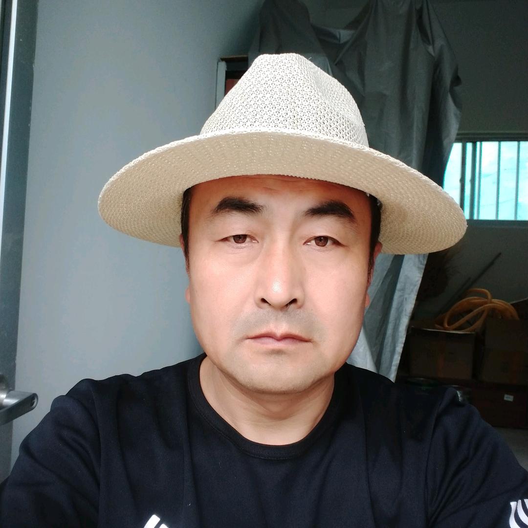 自由飞翔