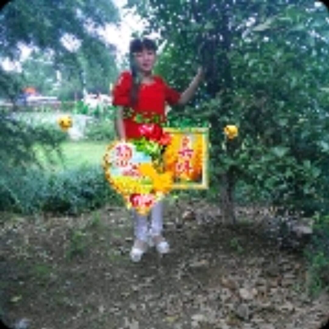 凤姐