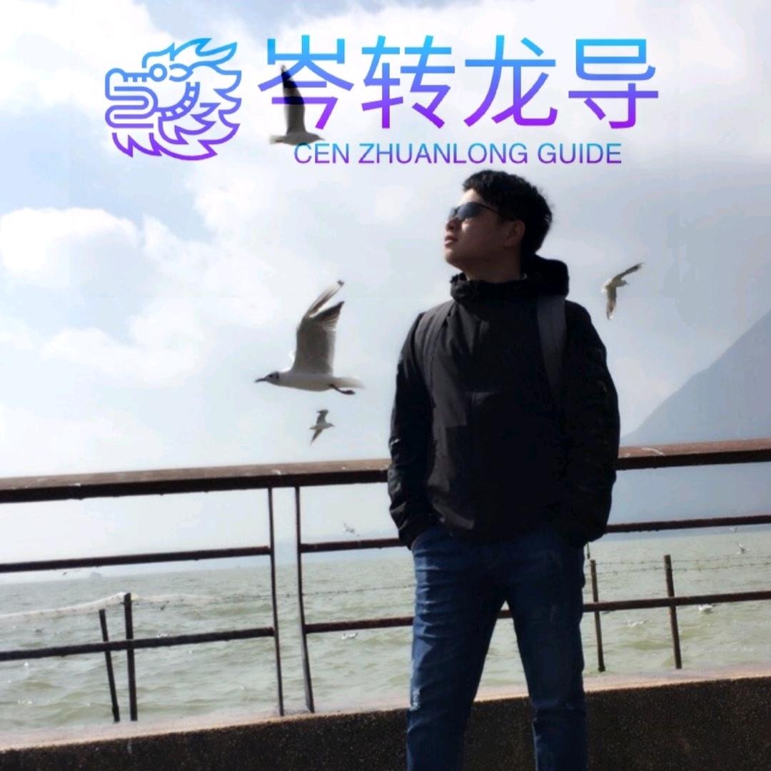 岑转龙导