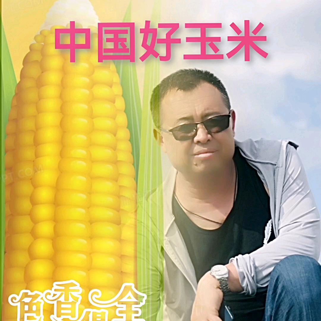 绿耕四季@殷哥