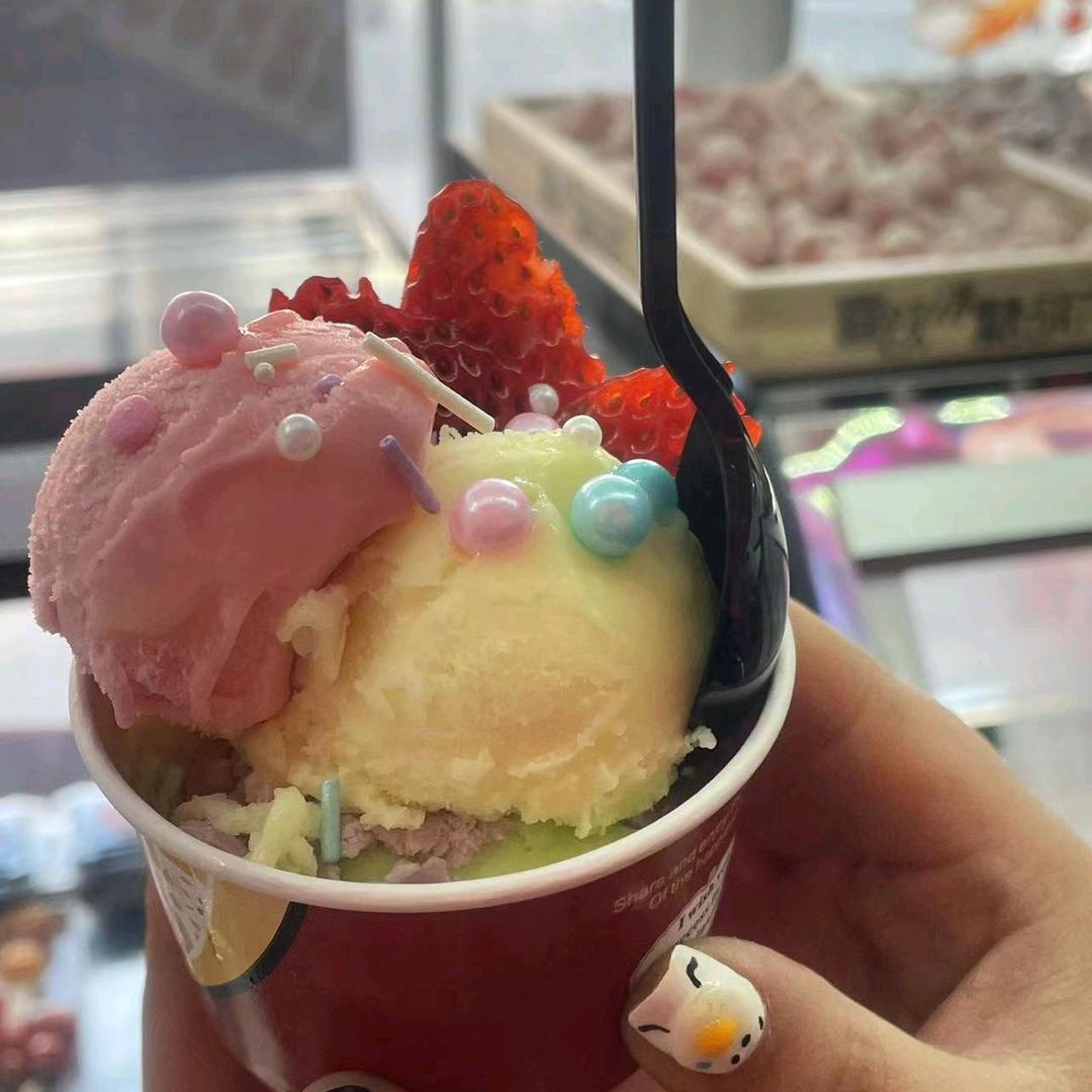 傲雪寒梅811