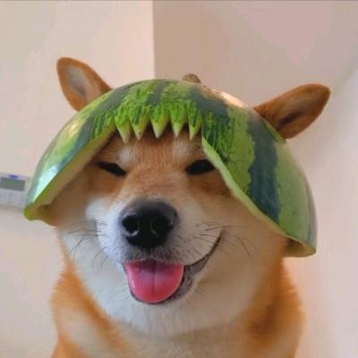 二狗同学