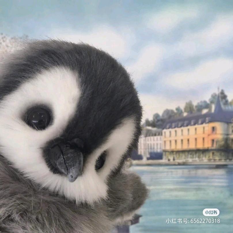 @CH