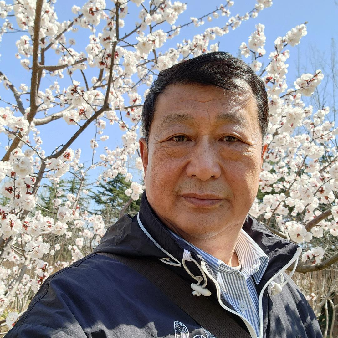 恰似你的温柔