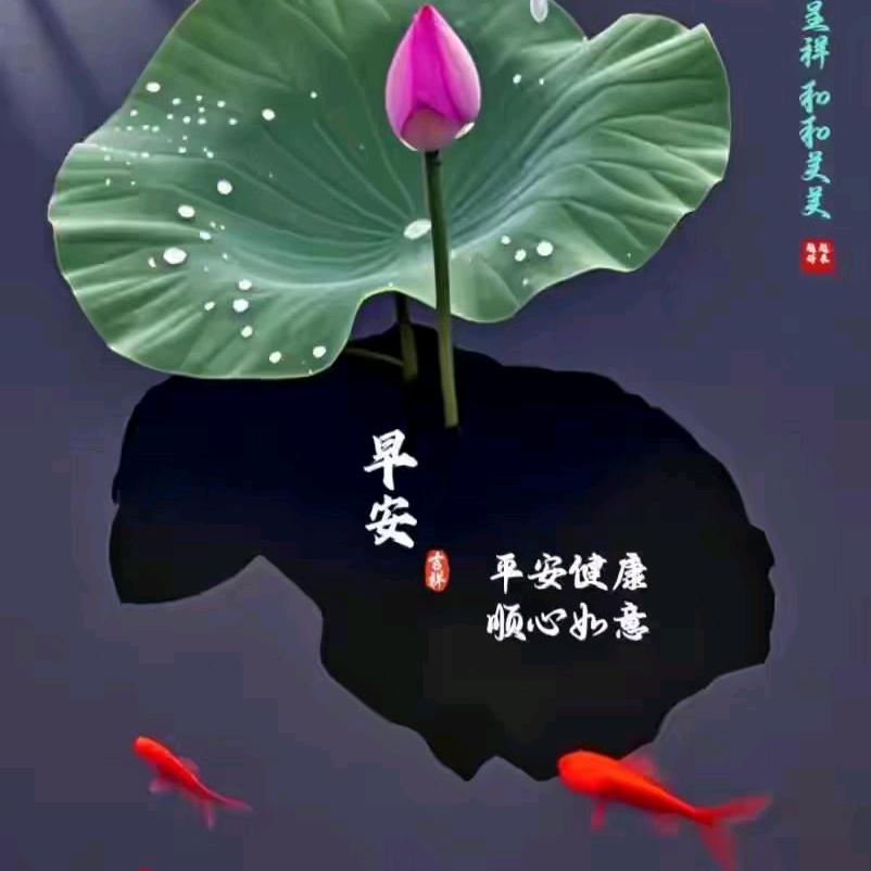 深耕老酒李浩