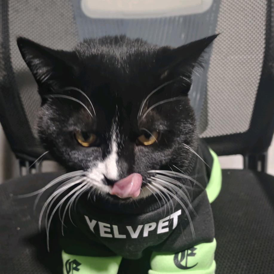 哦哟哟哟哟哟哟哟哟哟哟哟哟哟哟哟哟哟哟哟