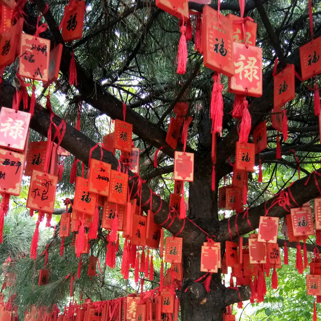 拾三