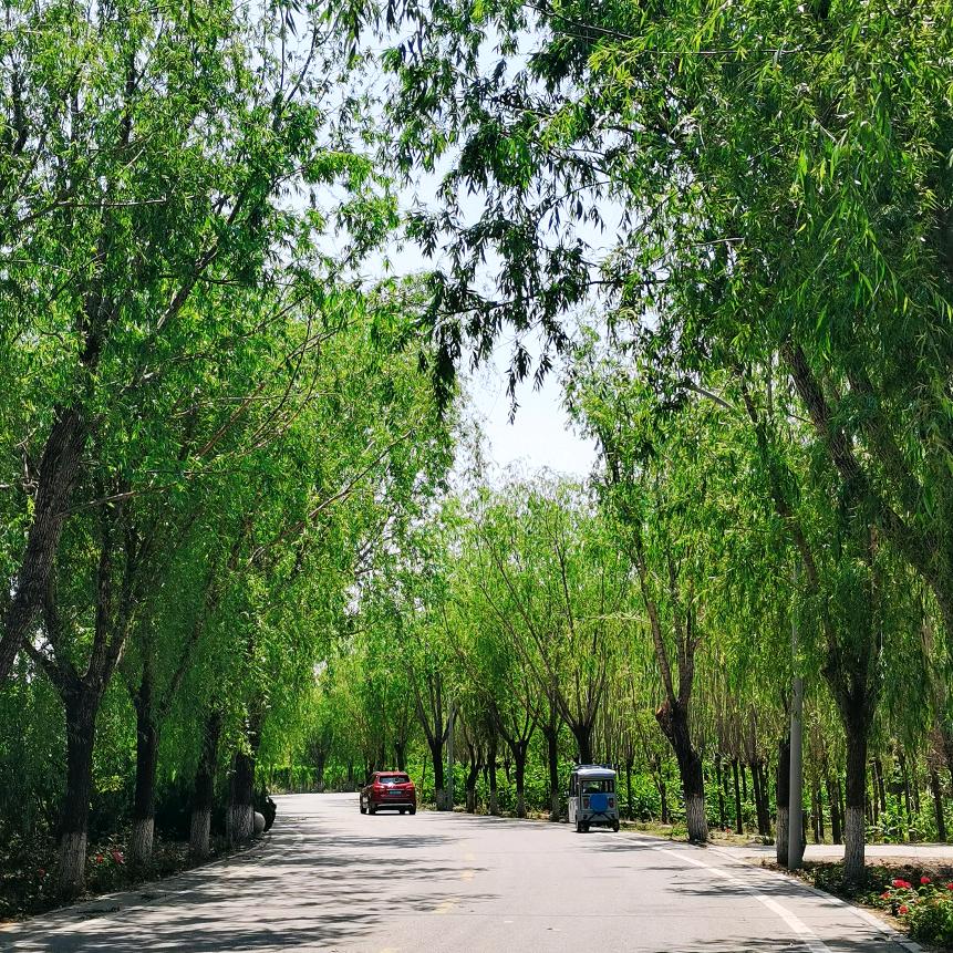 平安是福