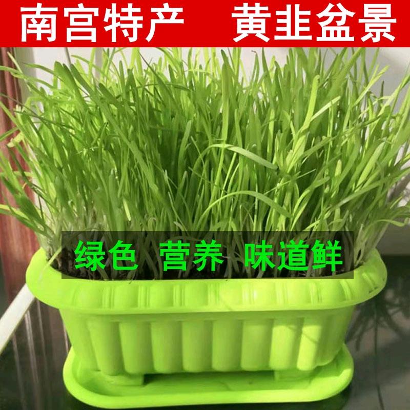 哈维斯特皮草