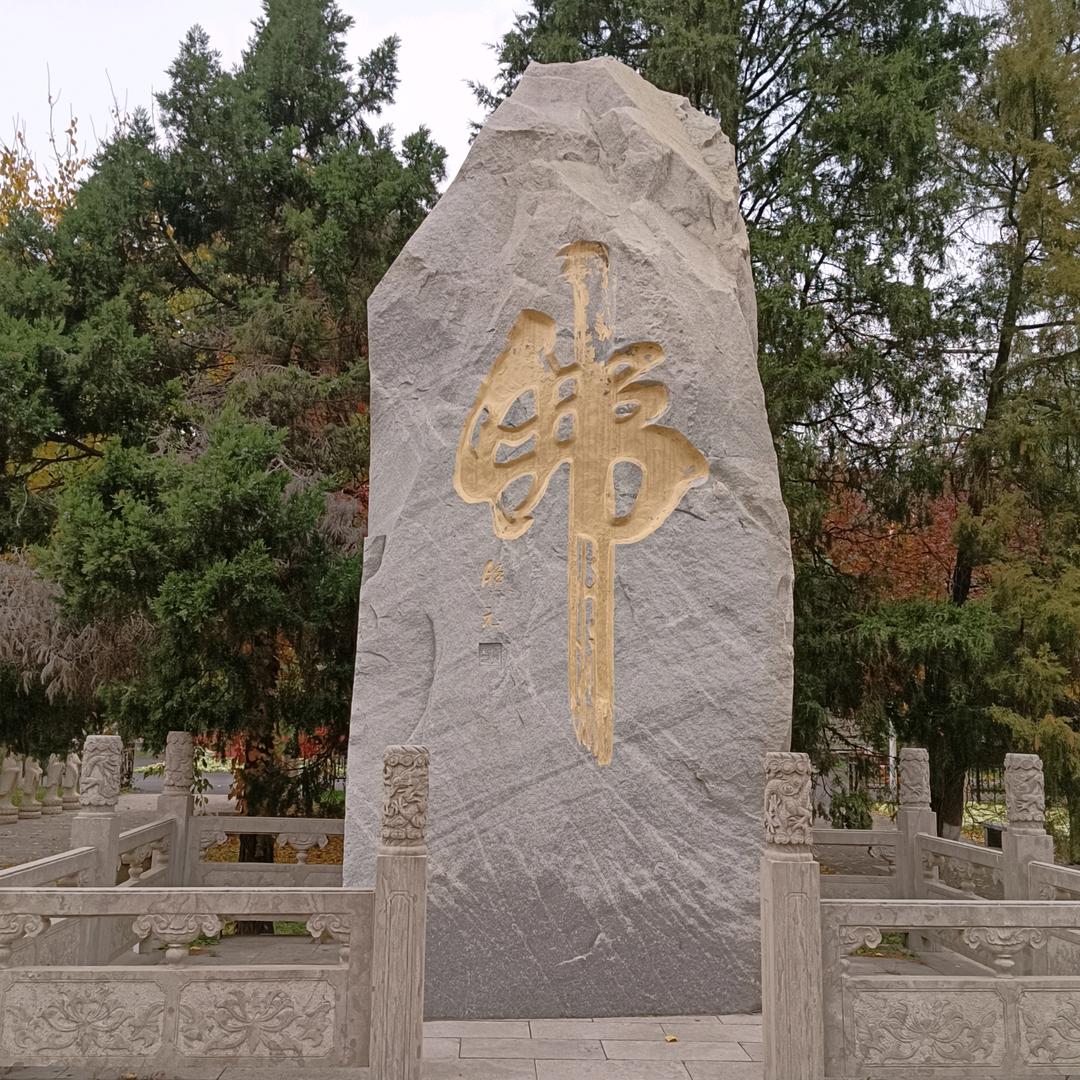 化茧成蝶