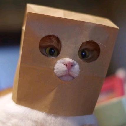 の