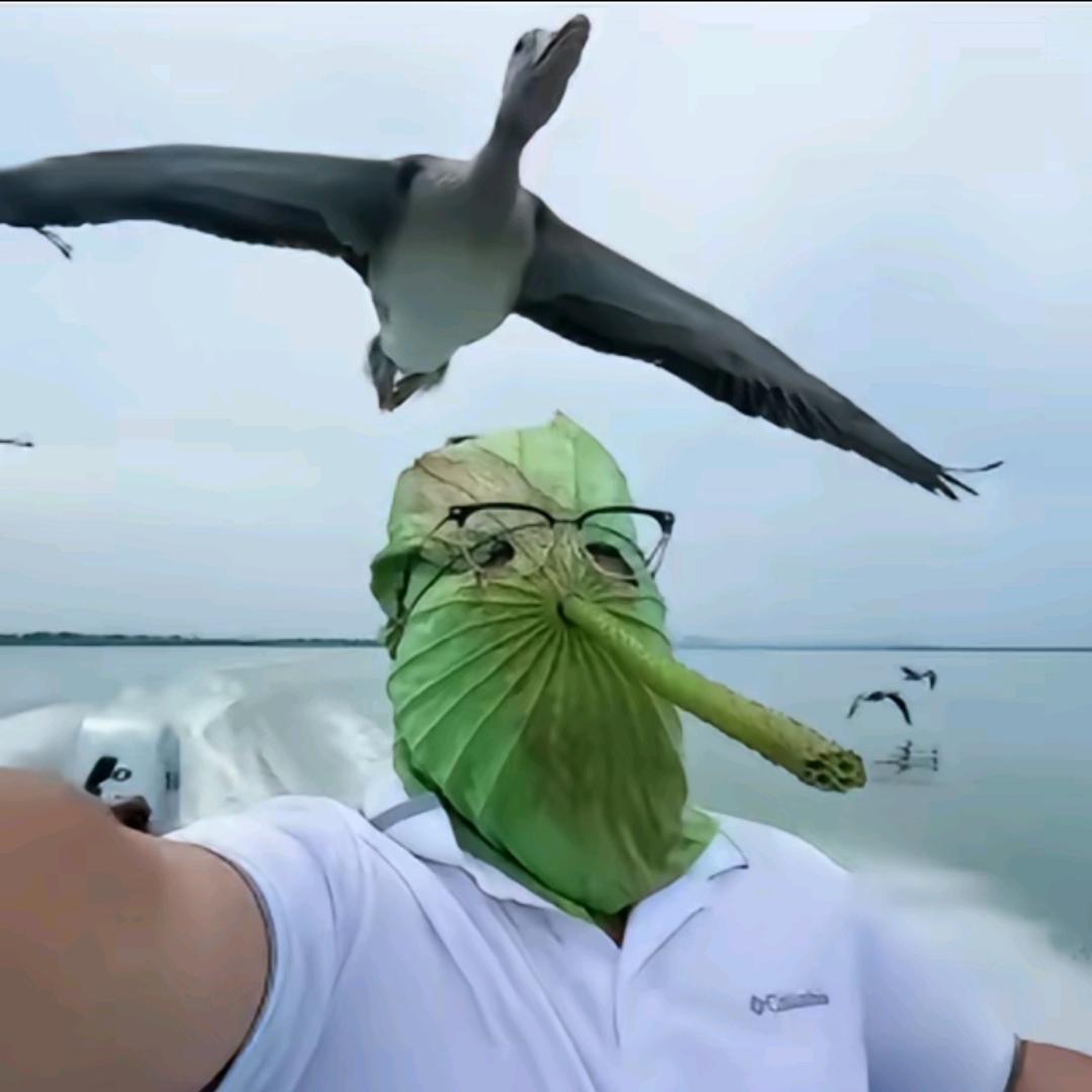 ￴ ￴￴ ￴蟹不肉