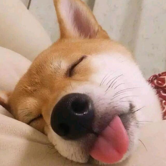 初见°
