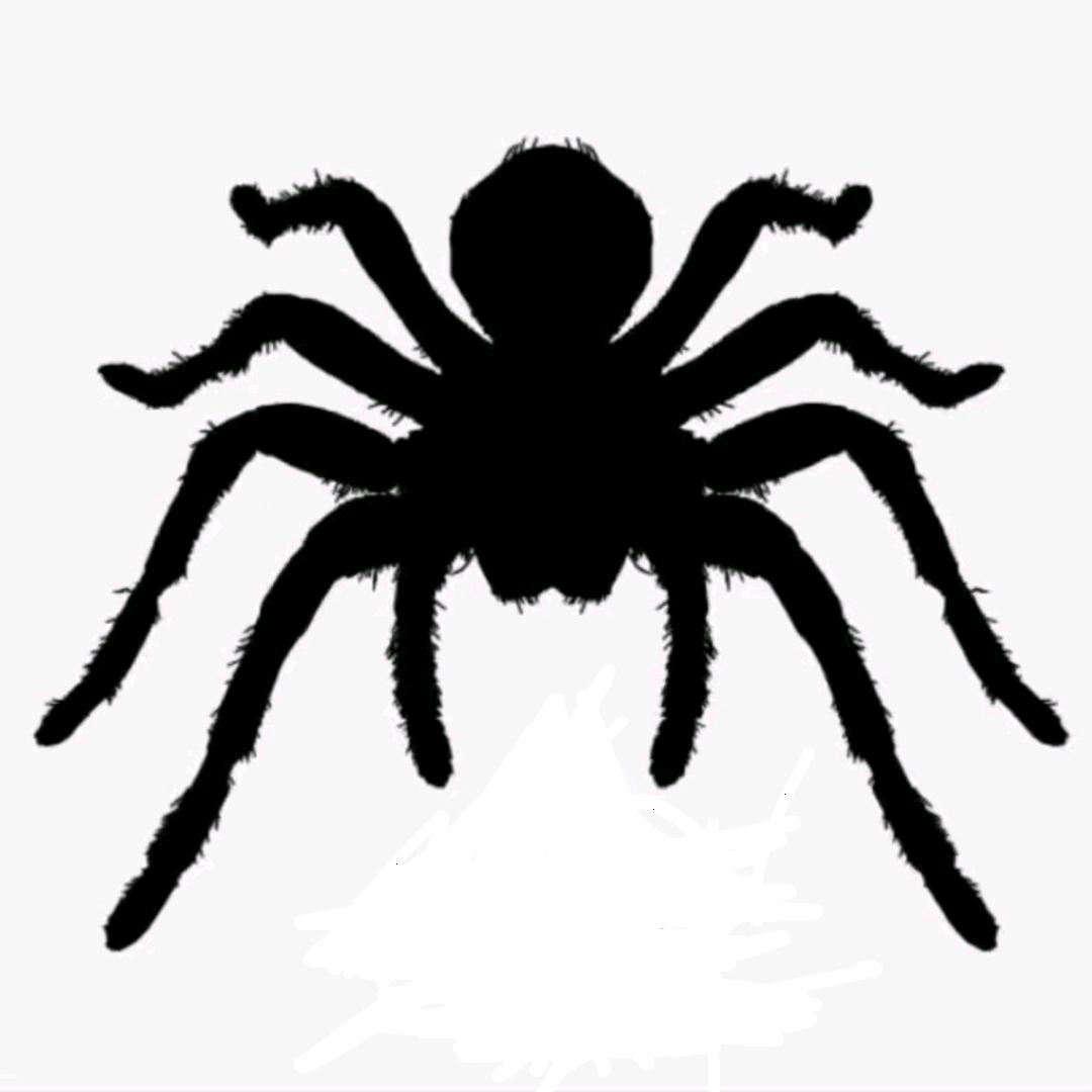 帅甜甜甜甜甜甜甜！！！！！！！！！！！！