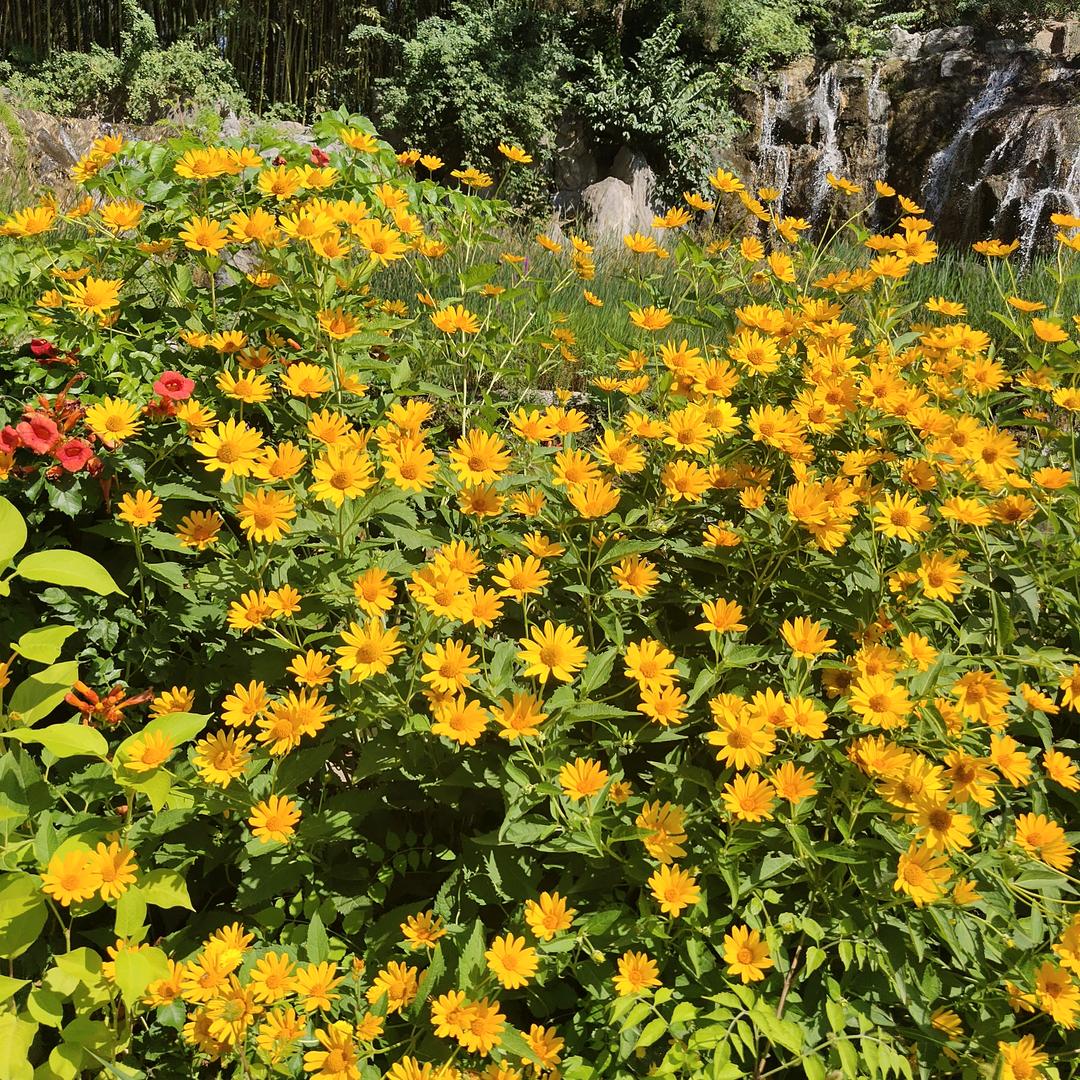 育儿早教分享（橱窗有好物）