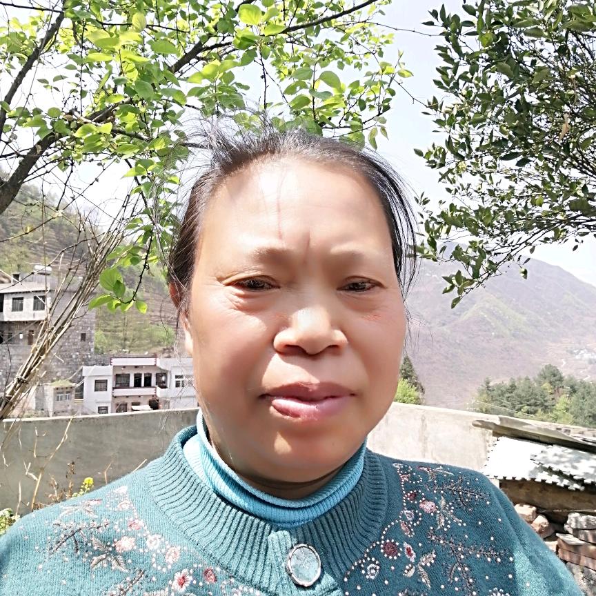 高姐.