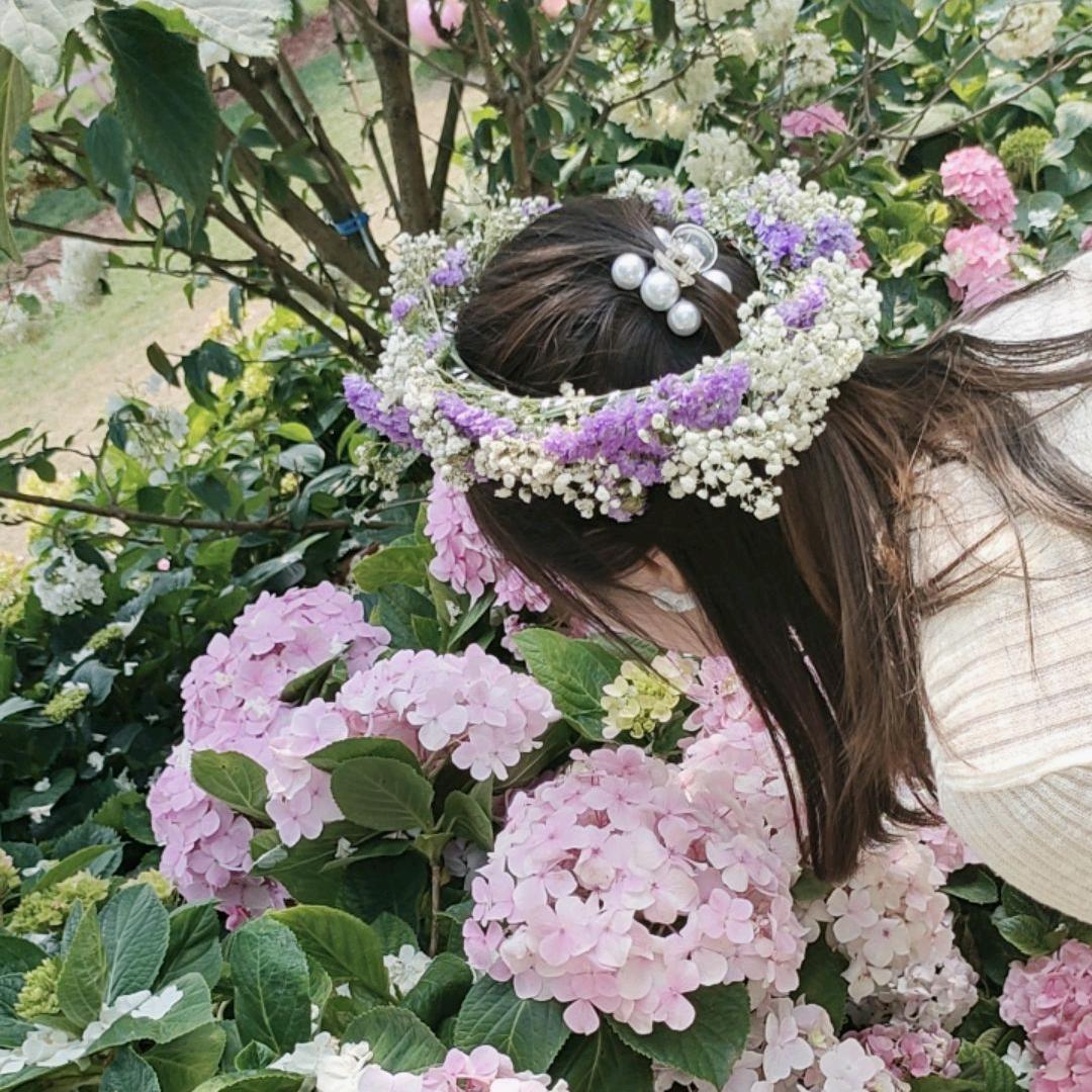 🌸南~乔♥