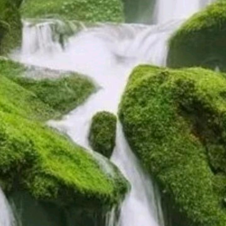 陶小宝
