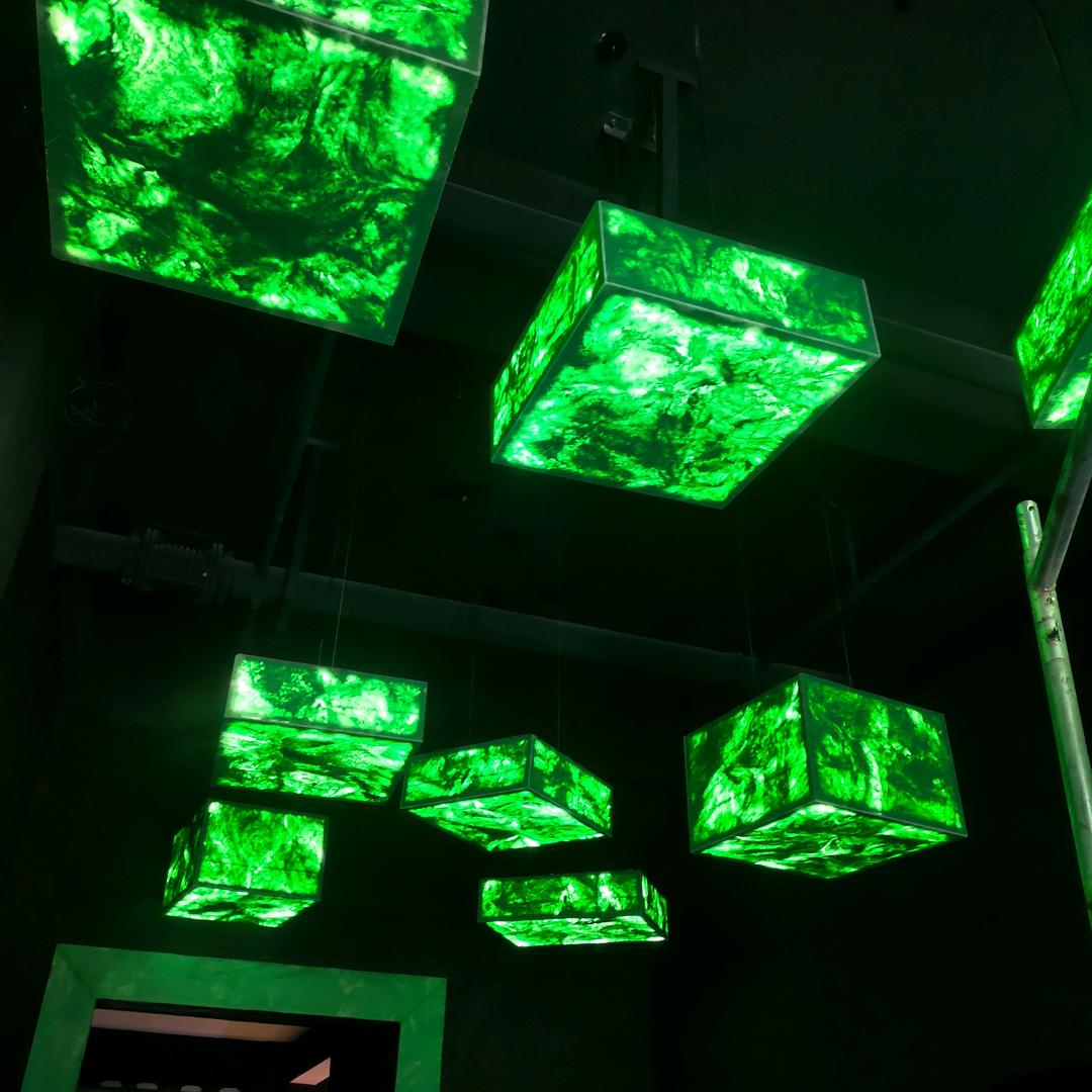 马匪头子。淡定芍药