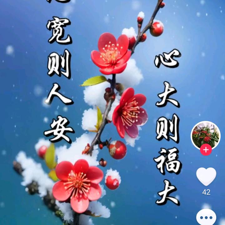 雨花