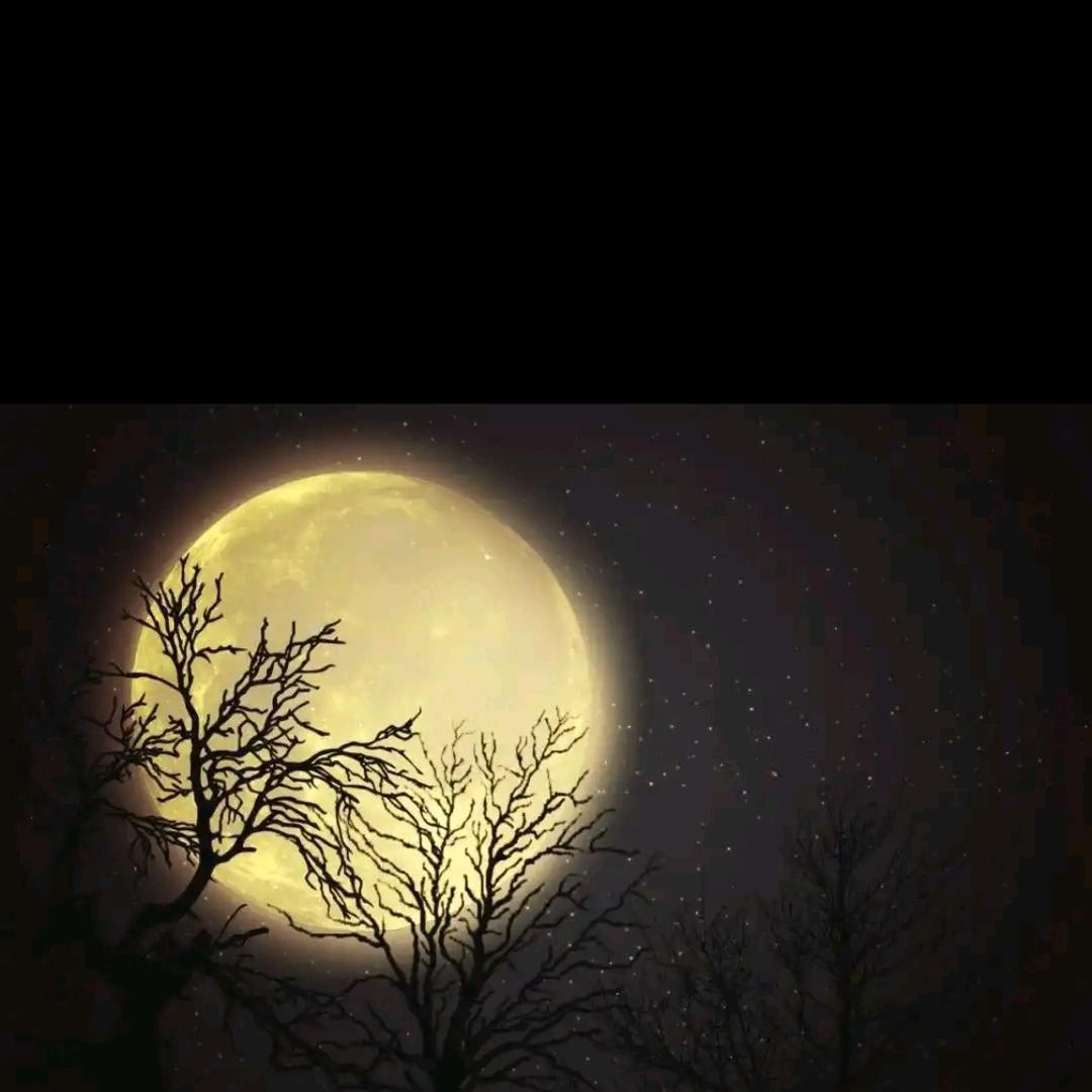 🌜明月🌛