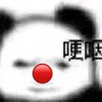 广州桂茹蛋开播号