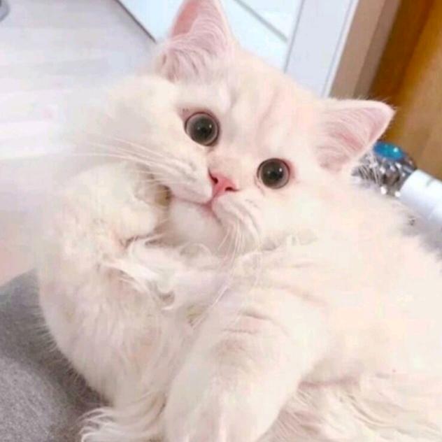 如意