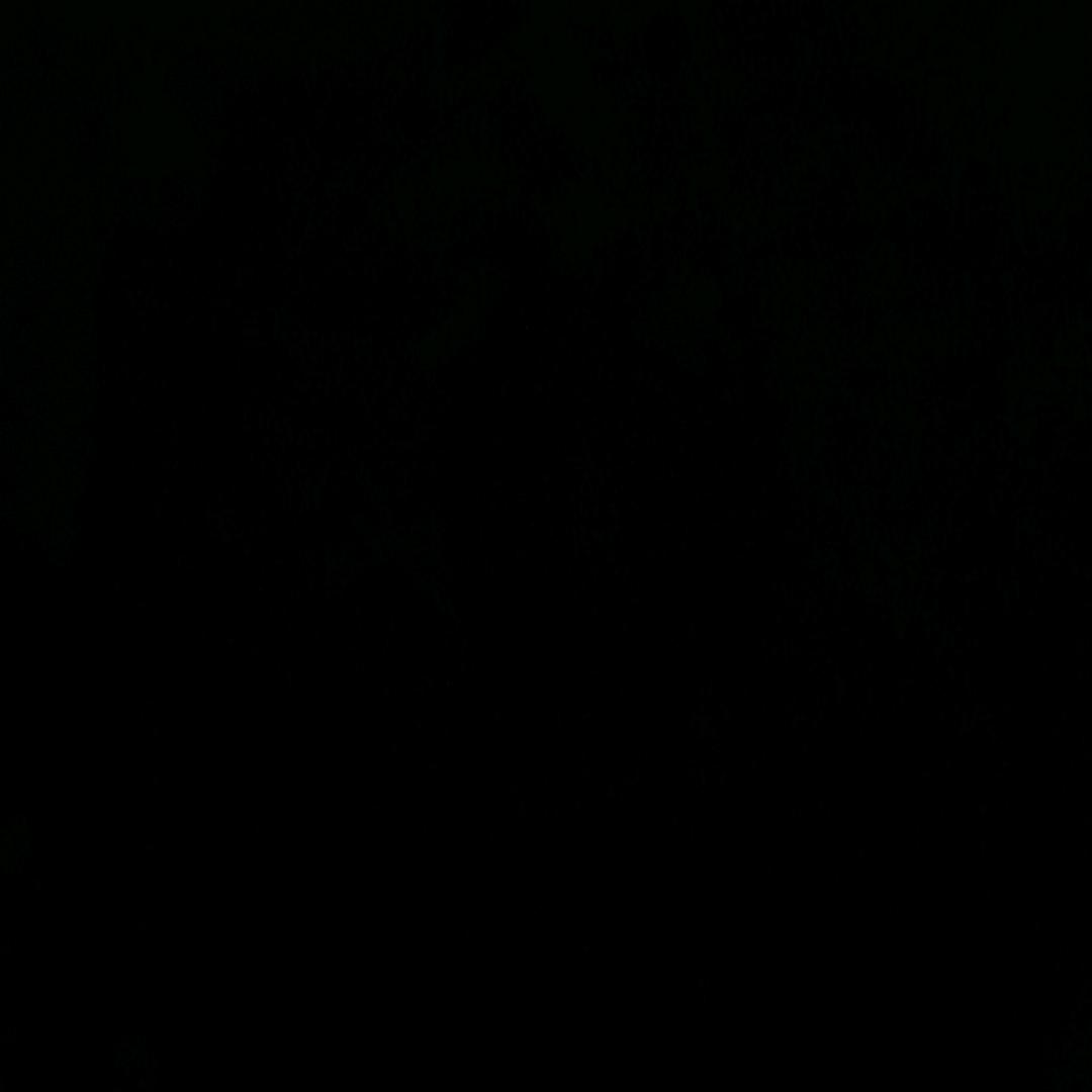 即兴