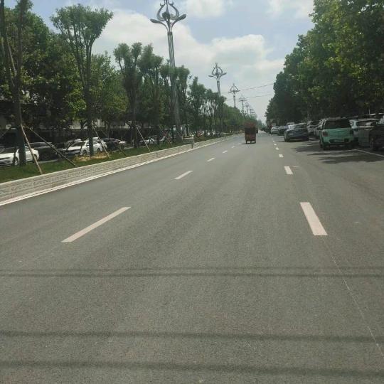 邓大丽