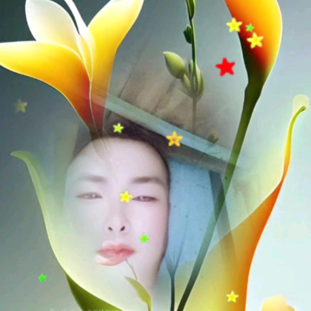 陈东红