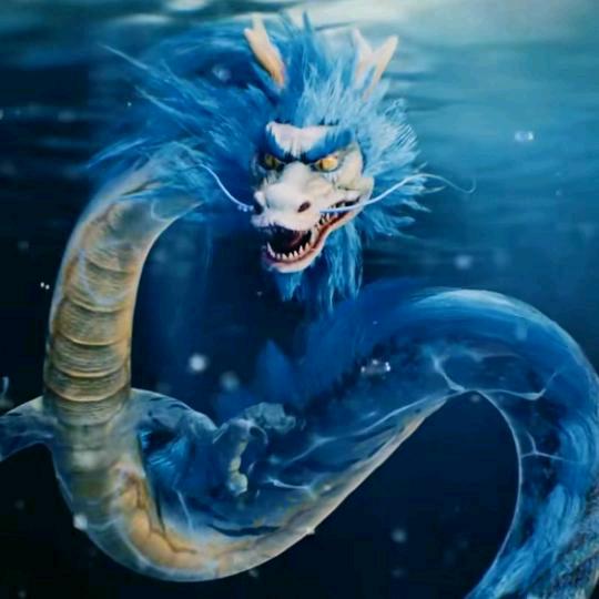 释 怀