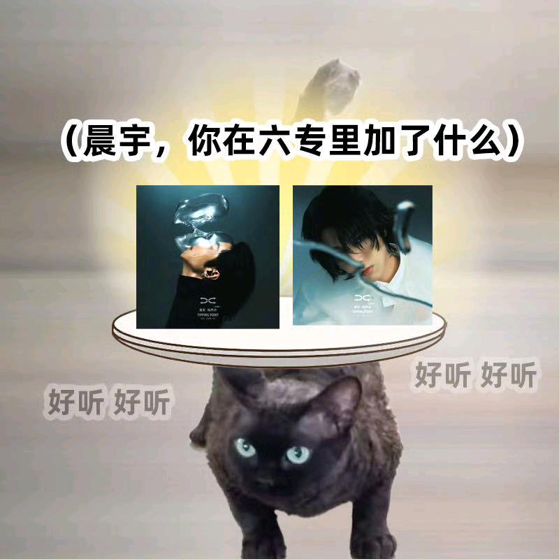 晨光里有你