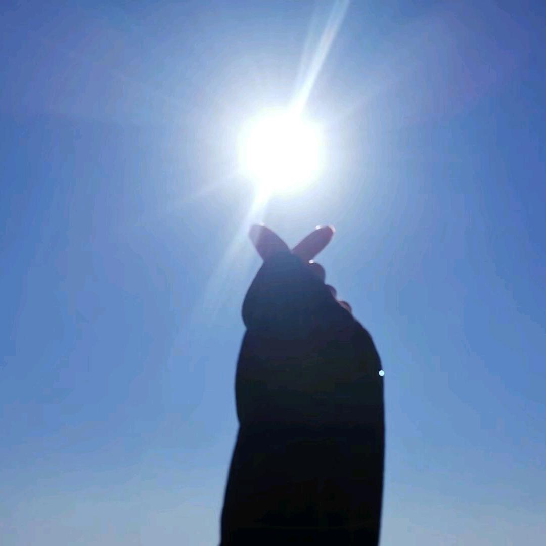 叶子 🍀集成吊顶蜂窝大板