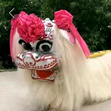 功夫家舞狮团✔飞哥