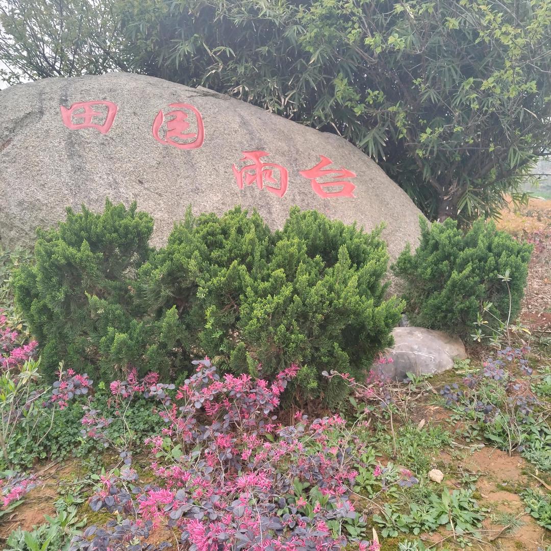 啊权哥