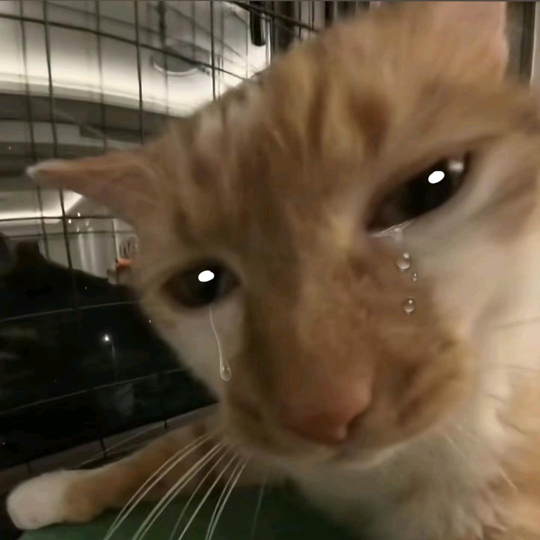 麻辣爆浆大蟑螂