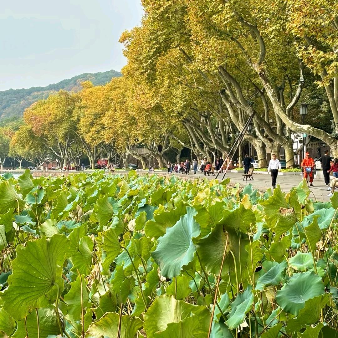 年少怎能不多情&☜