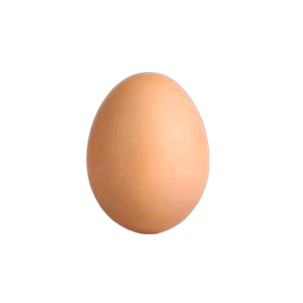 chicken egg