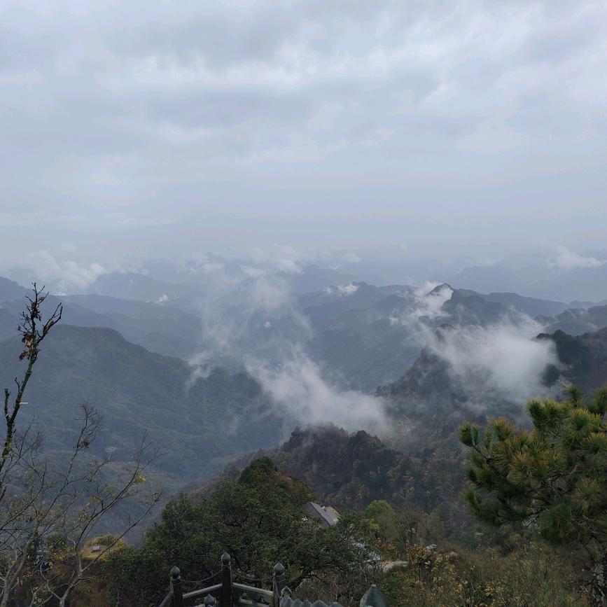 ⭐✨快乐的小雨宝✨⭐