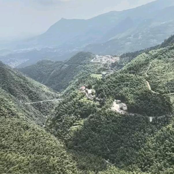 燕子【张琳悦】
