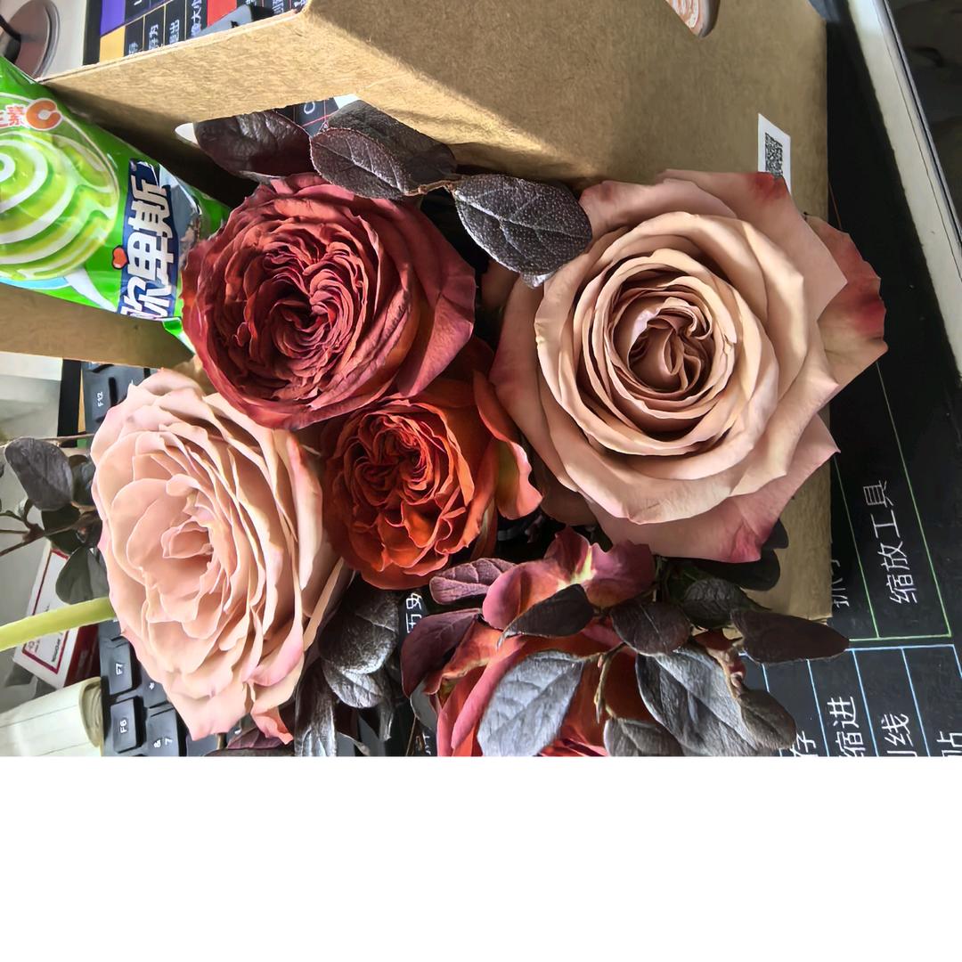 兜兜转转的人生