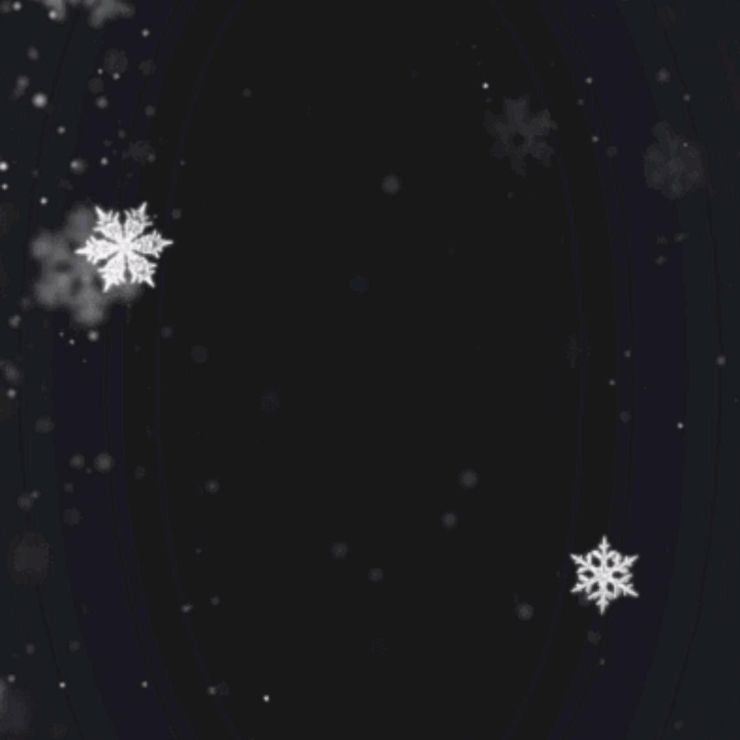 ·🌙