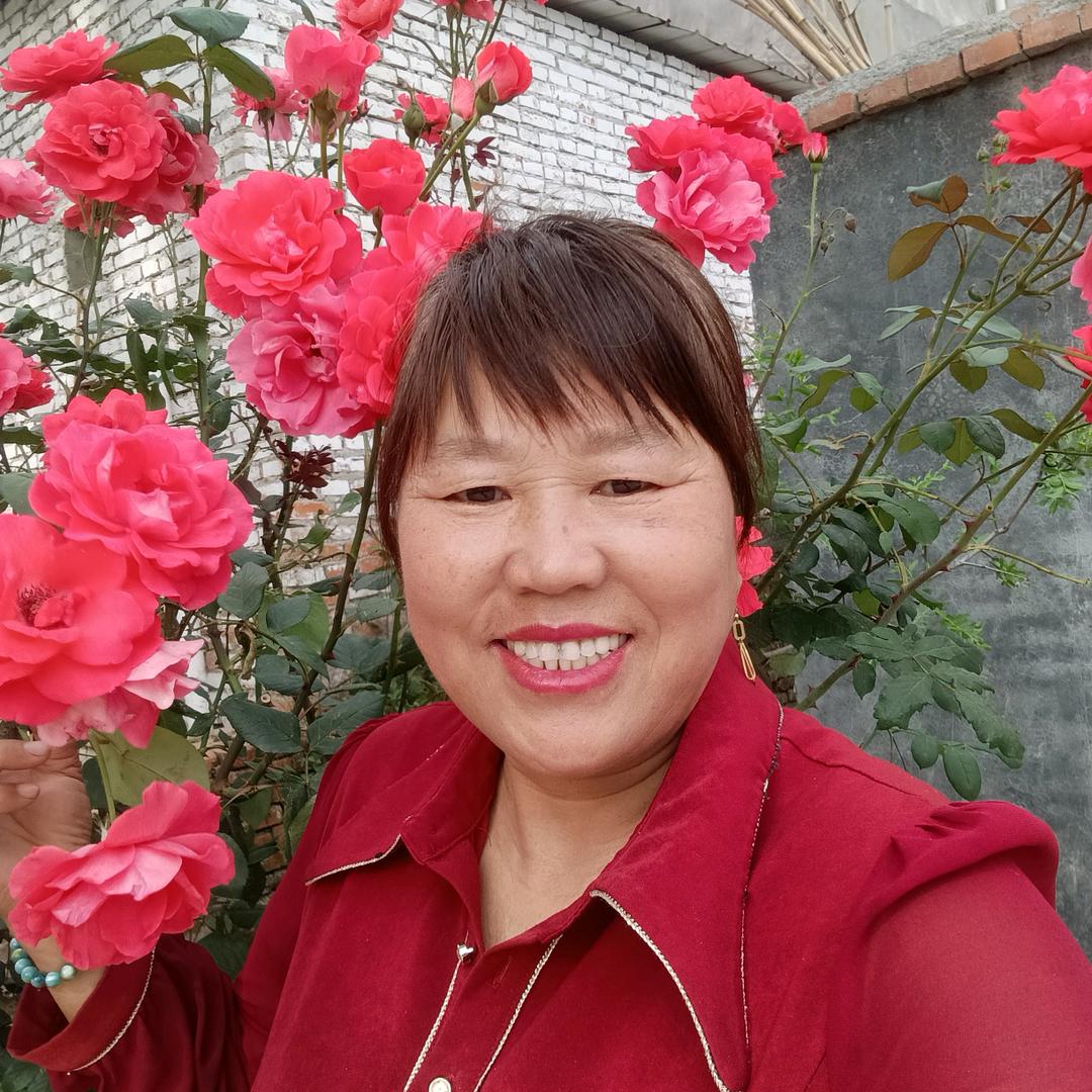 玫瑰的红
